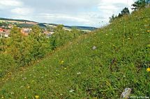 1 Buechenberg mit Westheim
